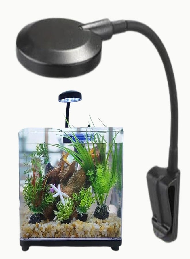 SANSEFERO مصباح حوض السمك Premier Plants لأحواض السمك الصغيرة Nano Mini (LY008) مع مشبك قابل للتعديل / مصباح مثبت على الوعاء (أسود) - Image 1